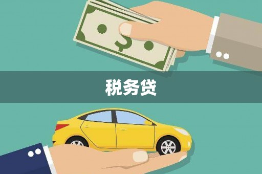 卢龙税务贷