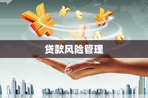 卢龙贷款风险管理