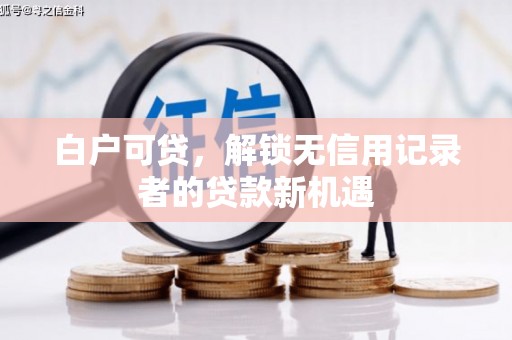 卢龙白户可贷，解锁无信用记录者的贷款新机遇