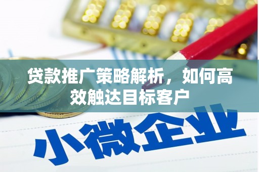 卢龙贷款推广策略解析，如何高效触达目标客户