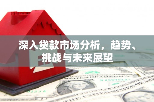卢龙深入贷款市场分析，趋势、挑战与未来展望