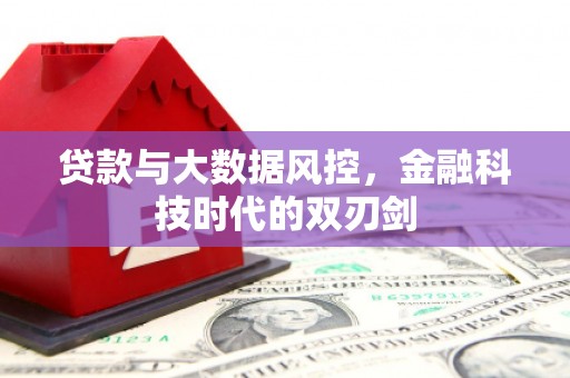 卢龙贷款与大数据风控，金融科技时代的双刃剑