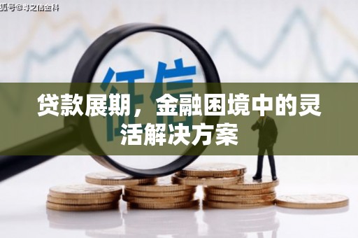 卢龙贷款展期，金融困境中的灵活解决方案