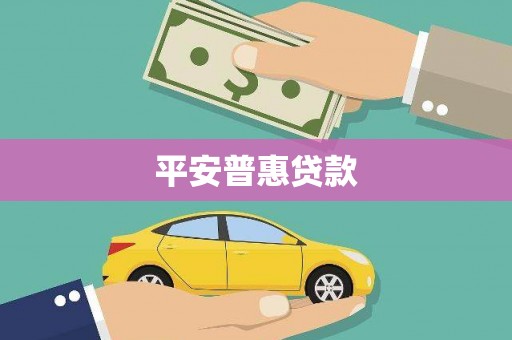 卢龙平安普惠贷款