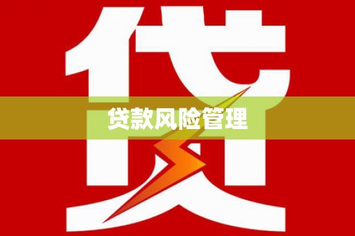卢龙贷款风险管理