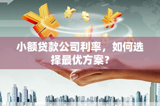 卢龙小额贷款公司利率，如何选择最优方案？