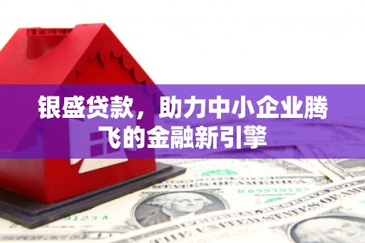 卢龙银盛贷款，助力中小企业腾飞的金融新引擎