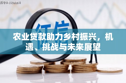 卢龙农业贷款助力乡村振兴，机遇、挑战与未来展望