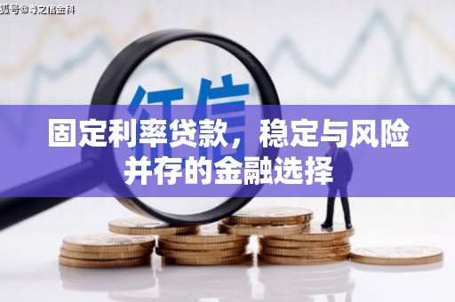 卢龙固定利率贷款，稳定与风险并存的金融选择