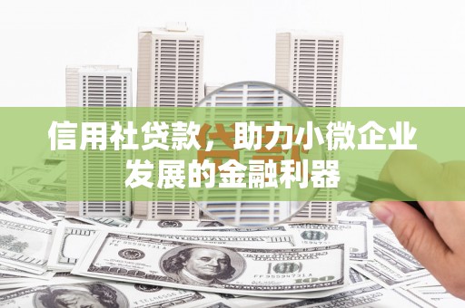 卢龙信用社贷款，助力小微企业发展的金融利器