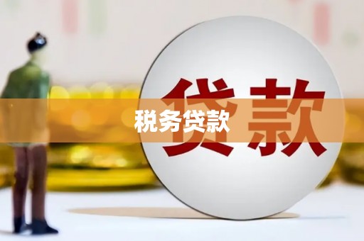 卢龙税务贷款