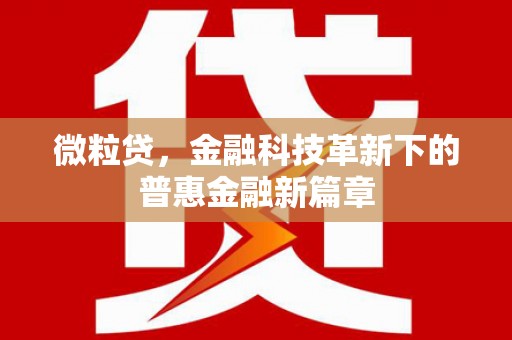 卢龙微粒贷，金融科技革新下的普惠金融新篇章
