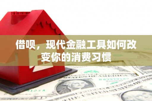 卢龙借呗，现代金融工具如何改变你的消费习惯