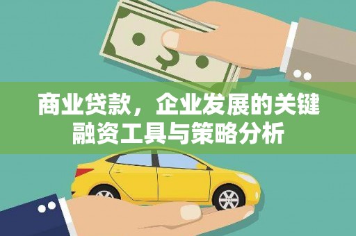 卢龙商业贷款，企业发展的关键融资工具与策略分析