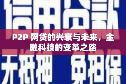 卢龙P2P 网贷的兴衰与未来，金融科技的变革之路