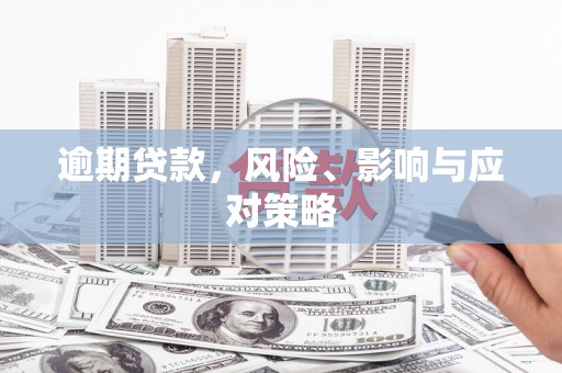 卢龙逾期贷款，风险、影响与应对策略