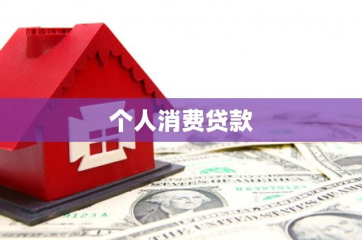 卢龙个人消费贷款