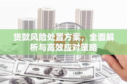 卢龙贷款风险处置方案，全面解析与高效应对策略