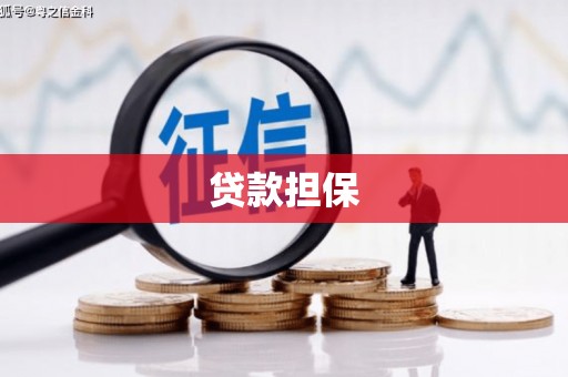 卢龙贷款担保