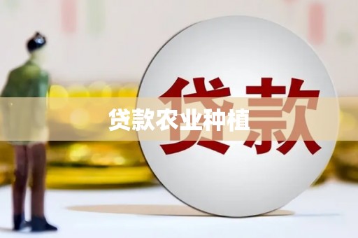卢龙贷款农业种植