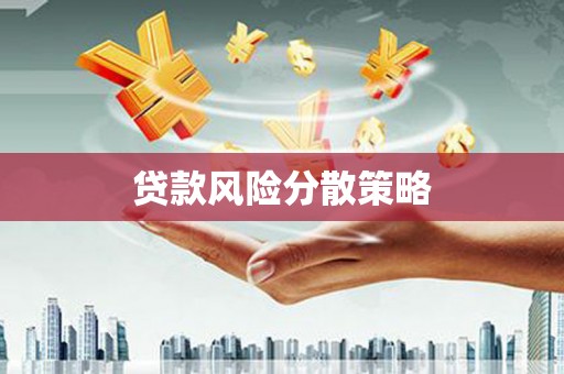 卢龙贷款风险分散策略