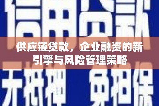 卢龙供应链贷款，企业融资的新引擎与风险管理策略