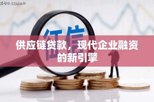 卢龙供应链贷款，现代企业融资的新引擎