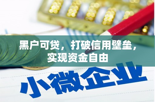 卢龙黑户可贷，打破信用壁垒，实现资金自由