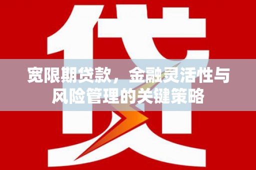 卢龙宽限期贷款，金融灵活性与风险管理的关键策略
