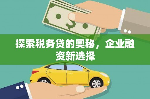 卢龙探索税务贷的奥秘，企业融资新选择
