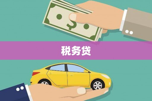 卢龙税务贷