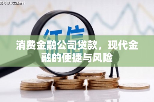 卢龙消费金融公司贷款，现代金融的便捷与风险