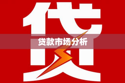 卢龙贷款市场分析