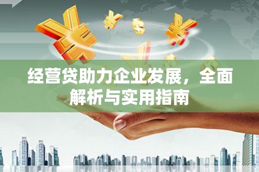 卢龙经营贷助力企业发展，全面解析与实用指南