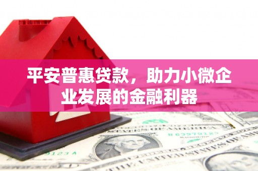 卢龙平安普惠贷款，助力小微企业发展的金融利器