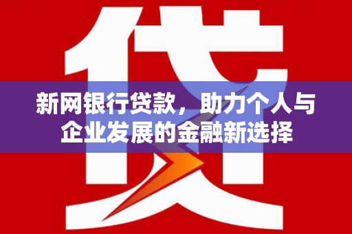 卢龙新网银行贷款，助力个人与企业发展的金融新选择