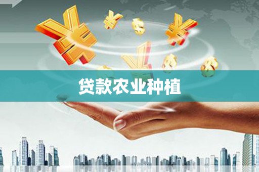 卢龙贷款农业种植