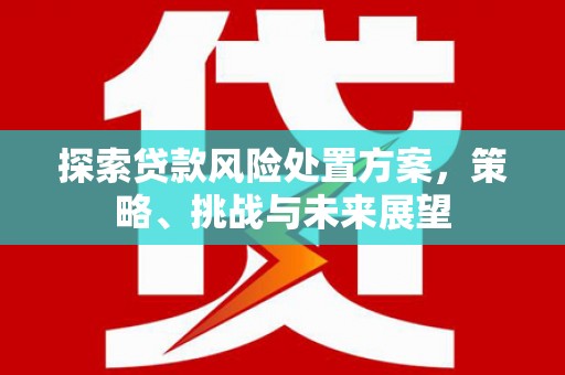 卢龙探索贷款风险处置方案，策略、挑战与未来展望