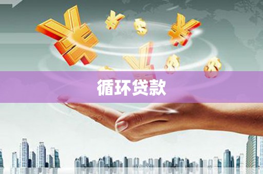 卢龙循环贷款