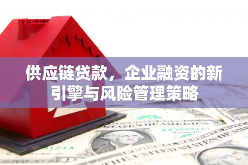 卢龙供应链贷款，企业融资的新引擎与风险管理策略