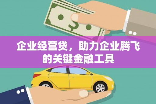 卢龙企业经营贷，助力企业腾飞的关键金融工具