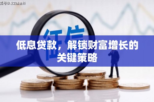 卢龙低息贷款，解锁财富增长的关键策略