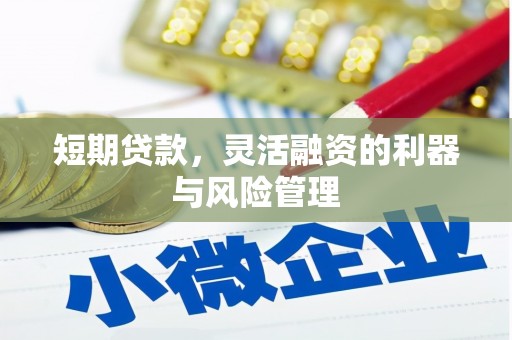 卢龙短期贷款，灵活融资的利器与风险管理