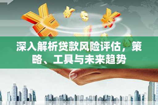 卢龙深入解析贷款风险评估，策略、工具与未来趋势
