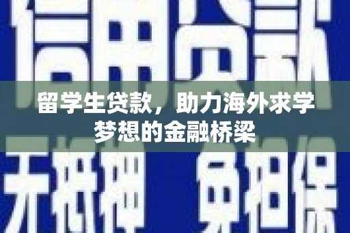 卢龙留学生贷款，助力海外求学梦想的金融桥梁