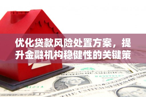 卢龙优化贷款风险处置方案，提升金融机构稳健性的关键策略