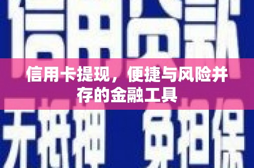 卢龙信用卡提现，便捷与风险并存的金融工具