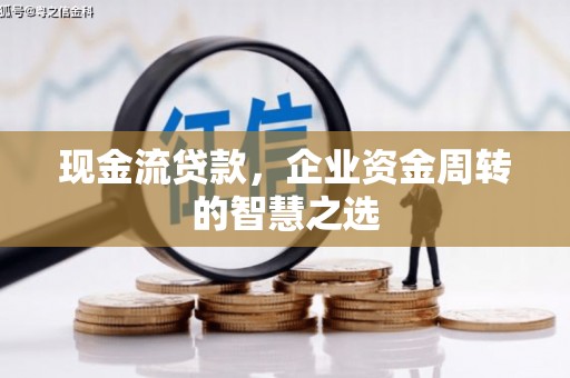 卢龙现金流贷款，企业资金周转的智慧之选
