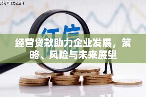 卢龙经营贷款助力企业发展，策略、风险与未来展望