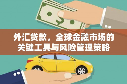 卢龙外汇贷款，全球金融市场的关键工具与风险管理策略